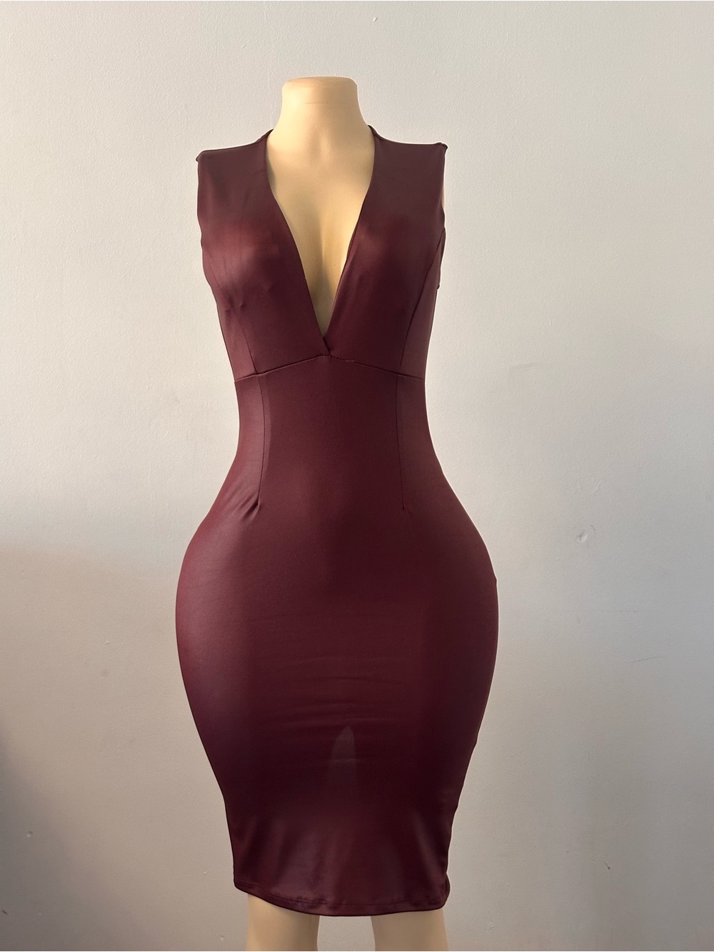 Plunge Neck Bodycon Mini Dress in Burgundy
